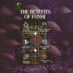 Galaxy Gummy’s – Raspberry Flavor